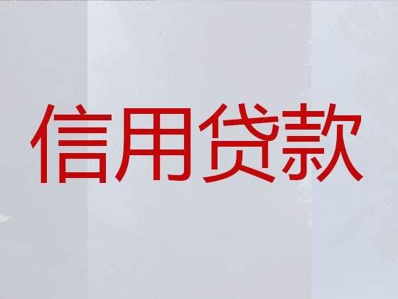 拉萨抵押贷款公司-银行信用贷款
